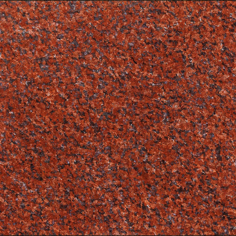 Памятник MS4900